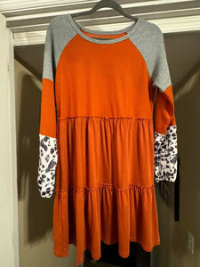 Fall Dress Flash sale